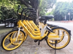 小橙车“黄”了！摩拜18万辆单车在广州变装 - 广东大洋网