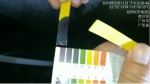 pH检测为强碱。本文图片由广州市河长办提供 - 新浪广东