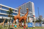 东莞市儿童医院新大楼正式启用，“长颈鹿医院”是它的网红名，今后带娃看病不用发愁了 - News.Timedg.Com