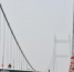 　资料图：车辆行驶在大桥上。中新社发 岳路建 摄 - 新浪广东