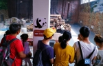 香市动物园3天揽客近5万人次，熊猫馆仍是网红打卡地 - News.Timedg.Com