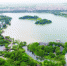 植物水中摇曳 白云湖现“水下森林” - 广东大洋网