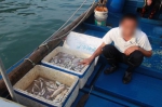 汕尾海警禁渔期查处13宗非法捕捞案 抓获88名嫌疑人 - 新浪广东