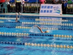 东莞市小学生游泳U系列比赛望牛墩站举行 - News.Timedg.Com