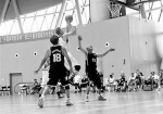 退休老年篮球队拿下三次全国冠军 打篮球解决“三高” - 新浪广东