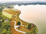 海珠湖十香花海得和园正式对外开放 - 广东大洋网