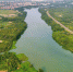 流溪河30条一级支流达Ⅱ类水质 - 广东大洋网