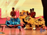 广州11区萌狮同台竞技 连串绝技让观众大呼过瘾 - 新浪广东