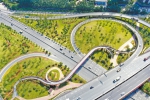 颜值飙升！广深公路开创大道立交绿化改造完工 - 广东大洋网