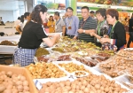 第二届中国新疆特色林果产品博览会在广交会展馆开幕 - 广东大洋网