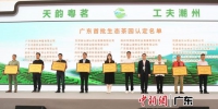 11月9日，第二届广东茶叶产业大会在潮州市举办。姬东 摄 - 中国新闻社广东分社主办