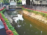 大学城将建设广州排水单元达标创建先行区 明年底主要河涌实现“鱼翔浅底” - 广东大洋网