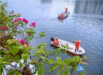茅洲河沿岸已开标7个主题园区有望春节前完工 - News.Timedg.Com