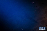 （新华全媒头条·图文互动）（8）星辰大海，才是它的征途——“中国天眼”通过国家验收正式开放运行 - News.21cn.Com