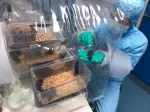 无菌小鼠的饲料要先灭菌 受访者提供 - 新浪广东