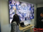 实验室的监控屏幕密切监控小鼠 陈辉 摄 - 新浪广东