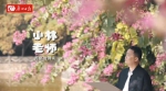 90秒，《花开之城》让你尝鲜！广州过年花城看花宣传片来了 - 广东大洋网