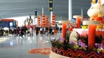 白云机场迎来出境客流高峰，出行错开这些高峰时段 - 广东大洋网
