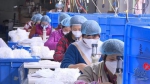 广州厂商称最多十天左右 买口罩难的现象会得到缓解 - 新浪广东
