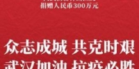 汇景控股向武汉雷神山医院捐赠300万元 - News.Timedg.Com