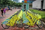 倡议骑车、步行出行，共享单车骑行回暖 - 广东大洋网