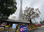 先别急！广州塔开放时间近期将公布 - 广东大洋网