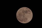 下周二超级月亮今年首次登场 羊城观月0时43分最亮眼 - 广东大洋网
