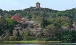 广州多个公园和风景区实行实名制入园，游玩记得带手机和证件 - 广东大洋网