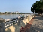 全面提速！番禺区50宗治水工程项目复工 - 广东大洋网