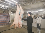 广州再投放2000吨猪肉 鲜肉、冻肉齐齐加大供应力度 - 广东大洋网