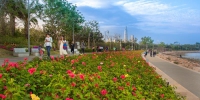 逾1400家景区开园可在线预订，广州超30景点开放 - 广东大洋网