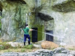 广州动物园昨日起恢复开放 首日逾500人次游客进园游玩 - 广东大洋网
