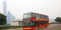广州观光巴士4日起恢复运营，医务工作者免票 - 广东大洋网