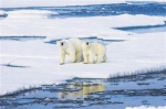 别担心，北极出现臭氧空洞只是因为太冷了 - News.Timedg.Com