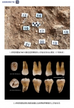 2019年度全国十大考古新发现揭晓 - News.Timedg.Com