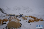 （2020珠峰高程测量·图文互动）（3）2020珠峰高程测量登山队抵达海拔6500米的前进营地 - News.21cn.Com