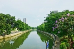 广州2019年度“河湖长制”考核结果公布 这三个区最优秀 - 广东大洋网