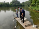 各区有关防汛负责人员检查江湖排水口是否畅通。 - 新浪广东