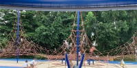 海珠儿童公园拓展区开放啦！每天开放四场次，每场次限流150人 - 广东大洋网