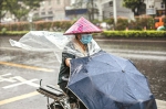 今年5月又湿又热 本月下旬广州可能受到台风影响 - 广东大洋网