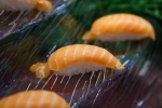广州部分超市与餐厅下架三文鱼产品，部分持观望态度 - 广东大洋网