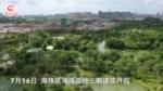 记者探秘广州海珠湿地公园三期：四季有花 处处有景 - 新浪广东