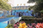 文化公园水产馆征老照片老物件！广州仔女的童年定有它 - 广东大洋网