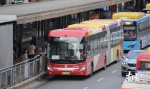 新版“巨无霸”公交车上线广州BRT！这些细节不同了 - News.Timedg.Com