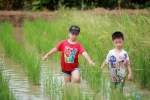 妈咪HOME|在田野中插秧玩水，这是童年最美好的模样 - News.Timedg.Com