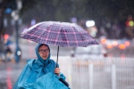 广州出现局部大暴雨，暴晒几天后大雨又来 - 广东大洋网