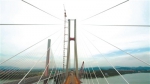 世界第一跨！广州南沙港铁路跨西江斜拉桥顺利合龙 - 广东大洋网