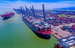 破记录！3艘20万吨级集装箱船同时靠泊南沙港 - 广东大洋网