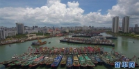 （社会）（1）海口：船舶进港避台风 - News.21cn.Com