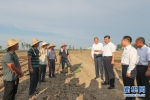 习近平：坚持改革开放坚持高质量发展 在加快建设美好安徽上取得新的更大进展 - News.21cn.Com